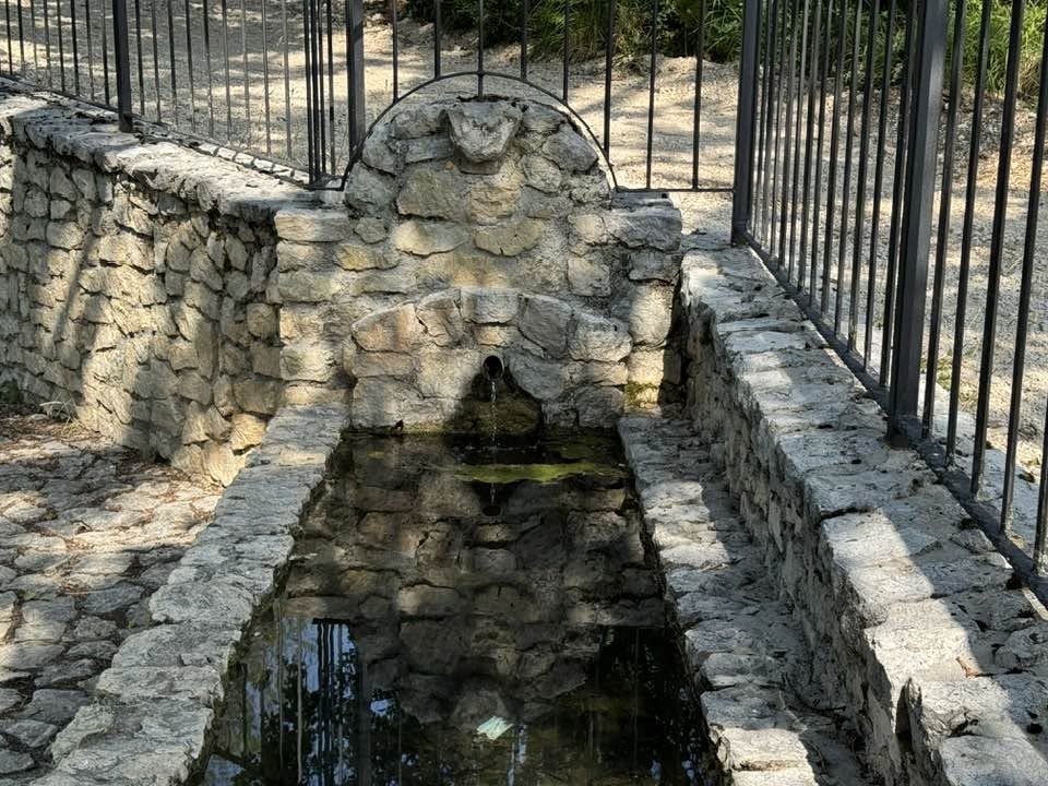 Image Sample